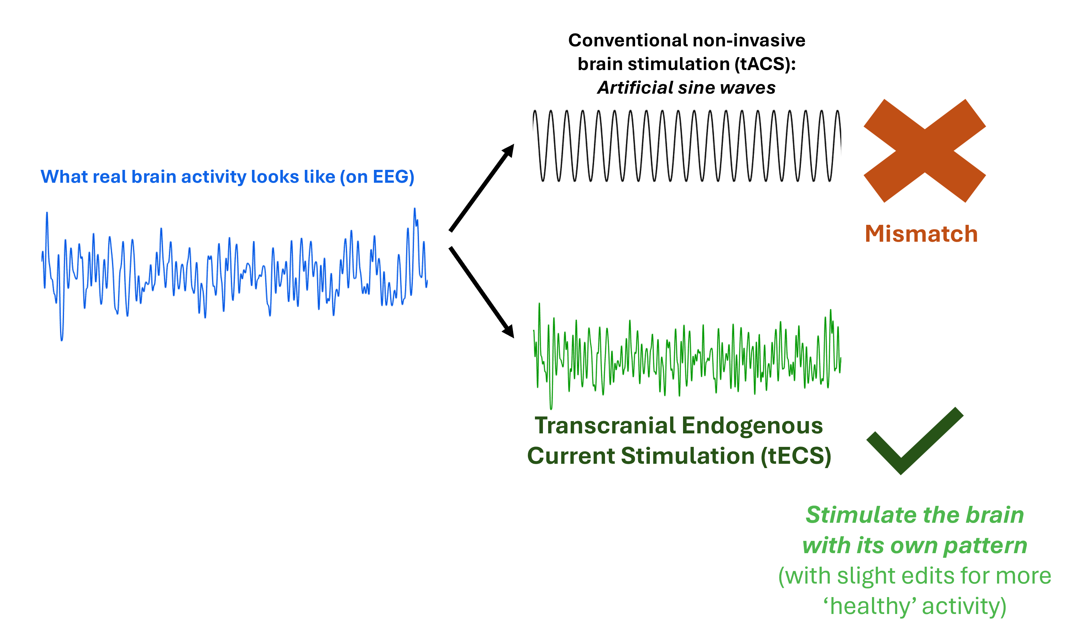tECS graphic